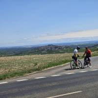 ACM